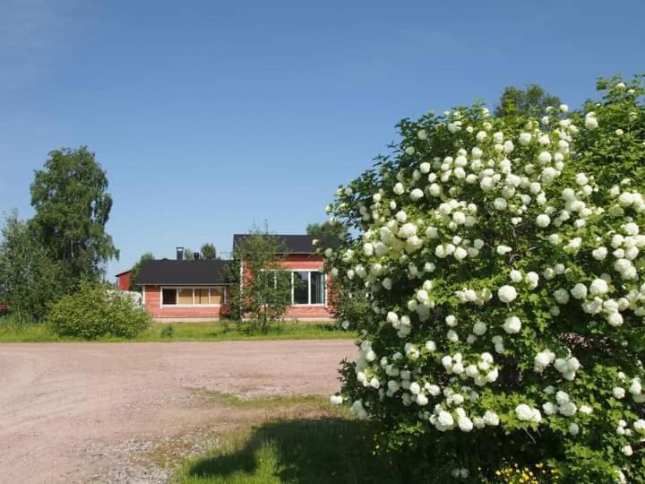 B&B Villa Helmi Ala-Temmes 외부 사진